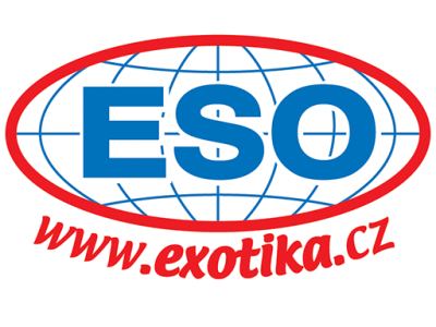 ESO Travel - Cestovní kancelář – náhled webu