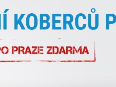 Apartmán U Modré hvězdy, Rokytnice – náhled webu