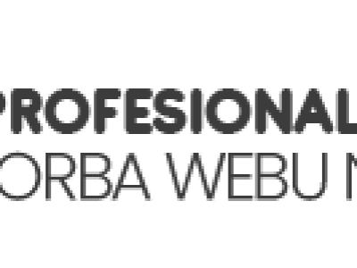 AHNE agency – náhled webu