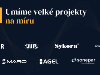 NetDirect – náhled webu