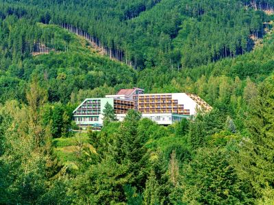 Hotel Petr Bezruč – náhled webu