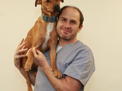 Veterinární klinika Zbraslav – náhled webu