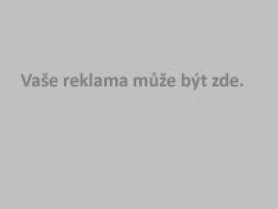 Azyl pro milence Opava – náhled webu
