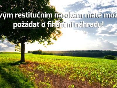 Restituční nároky – náhled webu