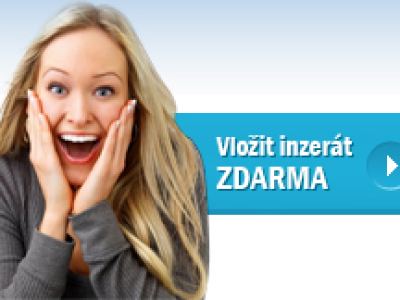 1inzerce.cz - Nejlepší český inzertní portál – náhled webu