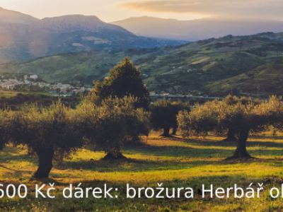 Zdravé oleje – náhled webu