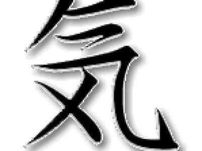 Aikido ?títina – náhled webu
